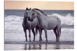 Gallery print White Hoses on the Beach