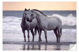 Sticker mural Chevaux blancs sur la plage