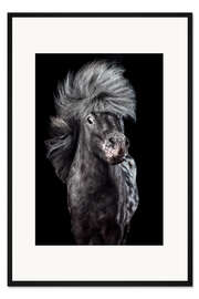 Gerahmter Kunstdruck Horsestyle II