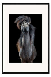 Gerahmter Kunstdruck Horsestyle IV