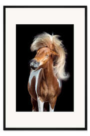 Gerahmter Kunstdruck Horsestyle I