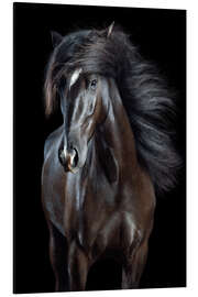 Magnettafel Horsestyle VIII