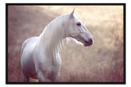 Gerahmter Kunstdruck Die Farbe der Morgendämmerung