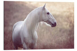 Magnettafel Die Farbe der Morgendämmerung