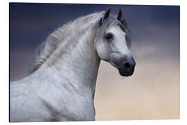 Magnettafel Die Farbe der Abenddämmerung