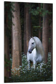 Gallery print Haunted white horse