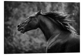 Magnettafel Pferdestärke