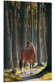 Magnettafel Auf einem gemeinsamen Weg