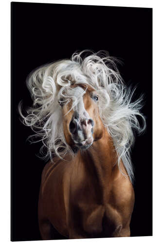 Cuadro de aluminio Horsestyle V