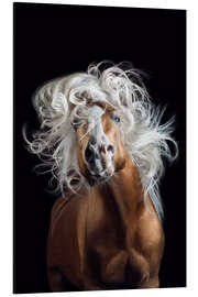 Cuadro de aluminio Horsestyle V