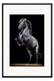 Gerahmter Kunstdruck Eleganz