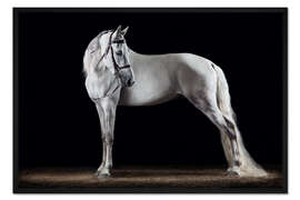 Gerahmter Kunstdruck Anmut