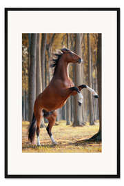 Gerahmter Kunstdruck Freiheitsliebe