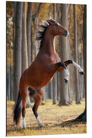 Magnettafel Freiheitsliebe