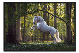 Gerahmter Kunstdruck Weißes Pferd im Märchenwald