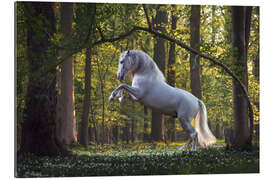 Cuadro de plexi-alu Caballo blanco en el bosque de cuento de hadas