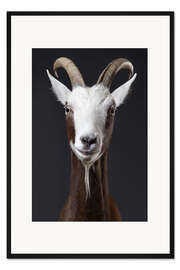 Gerahmter Kunstdruck Lustiges Ziegenporträt