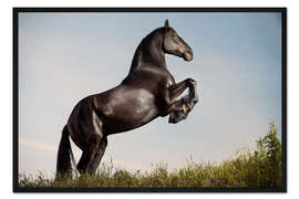 Gerahmter Kunstdruck Pure Kraft