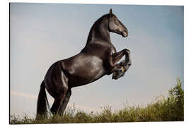 Magnettafel Pure Kraft