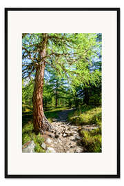 Gerahmter Kunstdruck Wanderweg durch Lerchtal in Lotschental