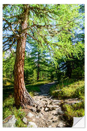 Naklejka na ścianę Hiking trail through Lerchtal in Lotschental