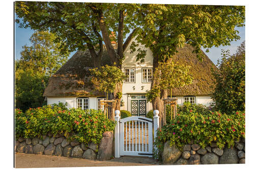 Galleritryck Historic captain's house in Keitum on Sylt