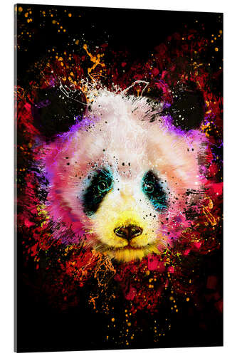 Acrylglasbild Panda