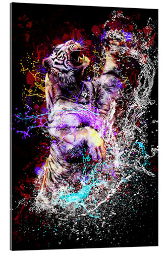 Acrylic print Tiger