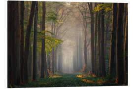 Gallery Print Magischer Wald