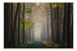 Poster Magischer Wald