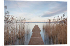 Gallery print Dreamy footbridge in the reeds