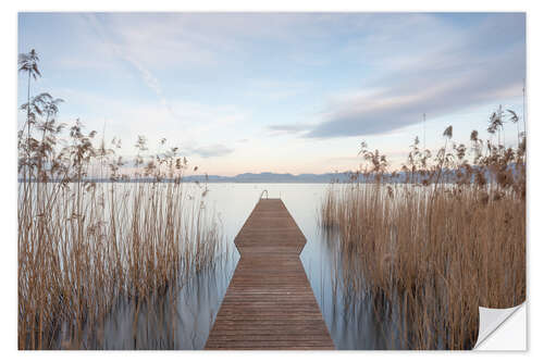 Selvklebende plakat Dreamy footbridge in the reeds