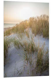 Foam board print Morning sun in the dunes on Sylt