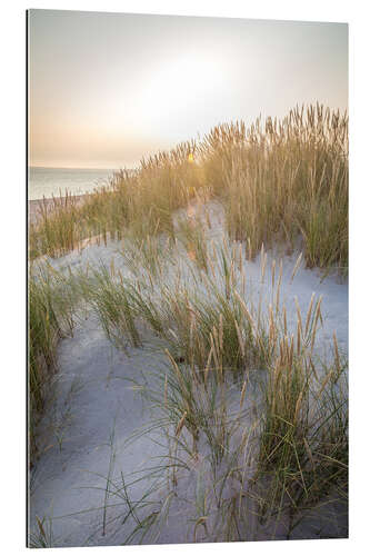 Gallery print Morning sun in the dunes on Sylt