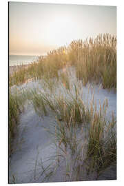 Magnettafel Morgensonne in den Dünen auf Sylt