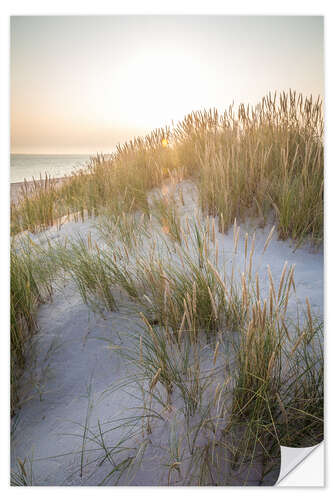 Vinilo para la pared Sol de la mañana en las dunas de Sylt