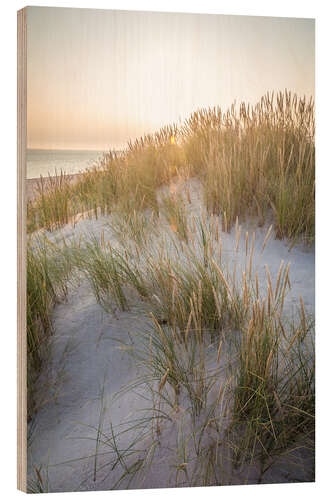 Tableau en bois Soleil du matin dans les dunes de Sylt