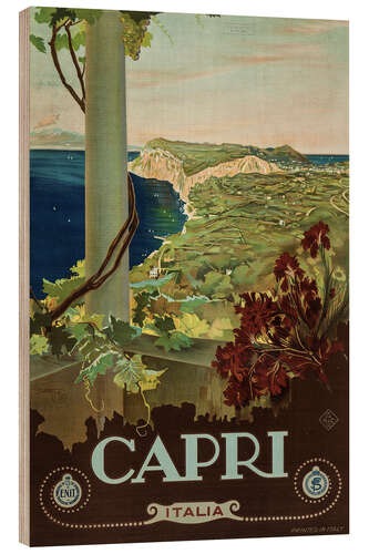 Wood print Capri, Italy