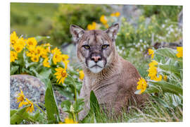 Hartschaumbild Puma in einem Blumenfeld