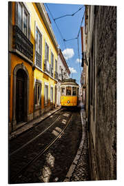 Magnettafel Gequetscht