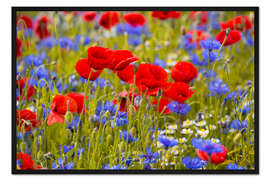 Gerahmter Kunstdruck Mohnblumen im Kornblütenfeld