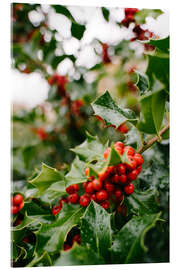 Akryylilasitaulu Wild berries