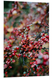 Foam board print Winter bush