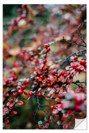 Naklejka na ścianę Winter bush