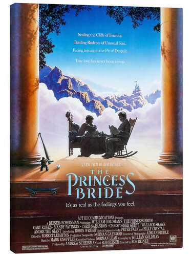 Lienzo La princesa prometida (inglés)