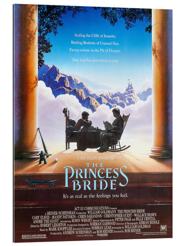 Quadro em plexi-alumínio The Princess Bride