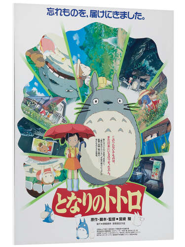 Bilde på skumplate My neighbor Totoro (Japanese)