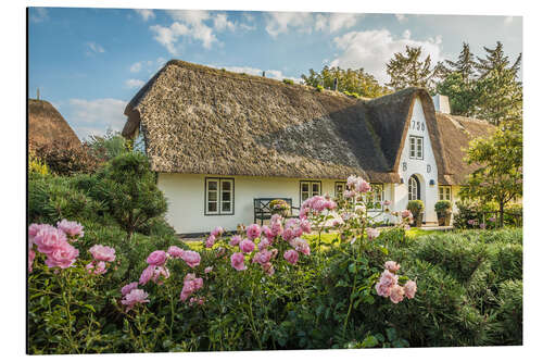 Aluminium print Frisian house on Sylt