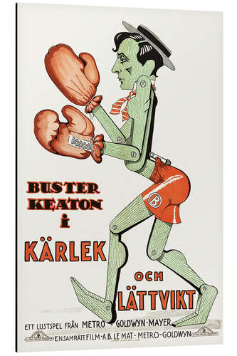 Obraz na aluminium Battling Butler (Swedisch)