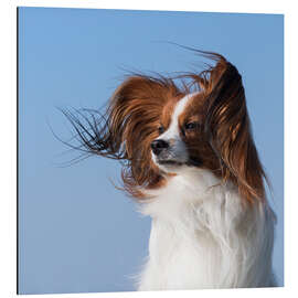 Magnettafel Hündchen im Wind